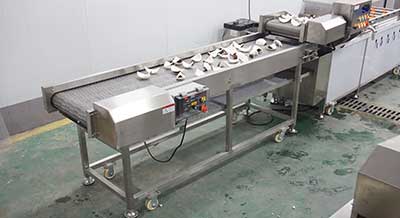 Customized Coconut Processing Line - Dehusking Peeling Washing