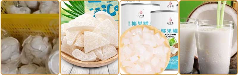 Customized Coconut Processing Line - Dehusking Peeling Washing