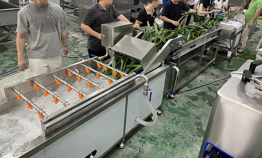 How to Process Leaf Juice at Industrial Scale: The Ultimate Guide for Beverage Manufacturers