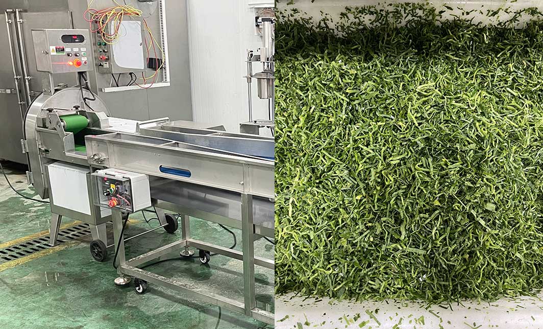 How to Process Leaf Juice at Industrial Scale: The Ultimate Guide for Beverage Manufacturers