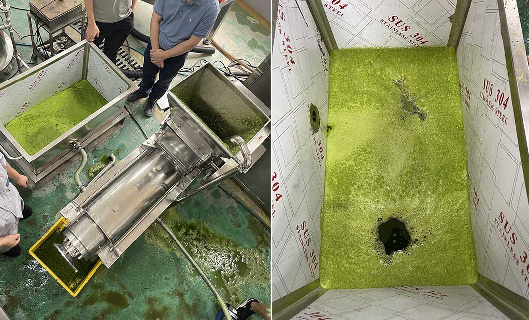 How to Process Leaf Juice at Industrial Scale: The Ultimate Guide for Beverage Manufacturers