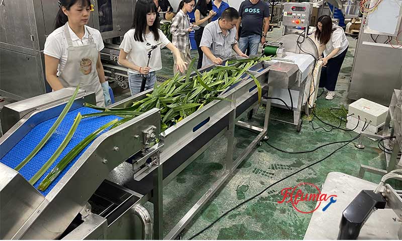 Herb / Wheatgrass / Pandan Leaf Process Line
