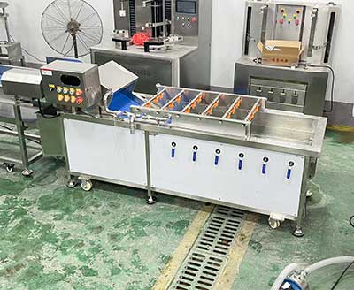 Herb / Wheatgrass / Pandan Leaf Process Line