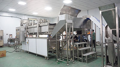 Industrial Vegetable Blancher Machine PT-3000