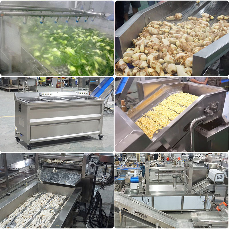Industrial Vegetable Blancher Machine PT-3000