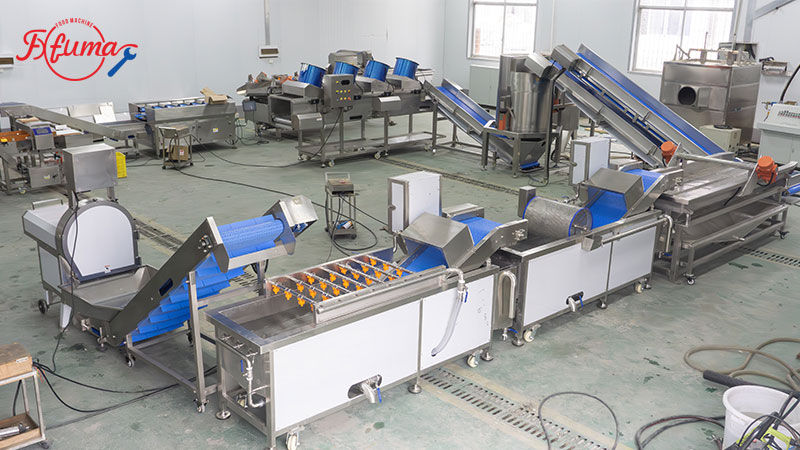 Salad and Leavy Vegetable Cutting Washing Drying Machine