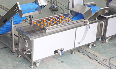Salad and Leavy Vegetable Cutting Washing Drying Machine