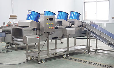 Salad and Leavy Vegetable Cutting Washing Drying Machine