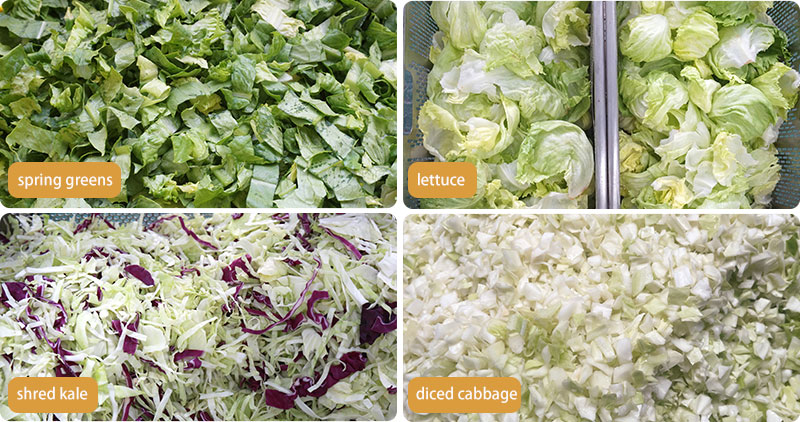 Salad and Leavy Vegetable Cutting Washing Drying Machine