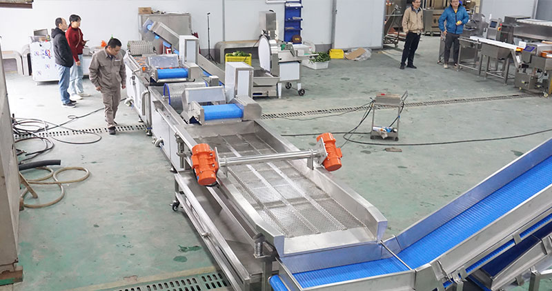 Salad and Leavy Vegetable Cutting Washing Drying Machine