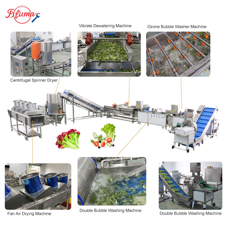 Leafy Vegetable Processing Line for Fresh-Cut Salad Business (UAE Case Study)