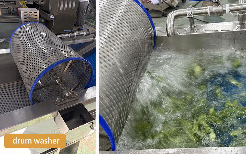 Leafy Vegetable Processing Line for Fresh-Cut Salad Business (UAE Case Study)