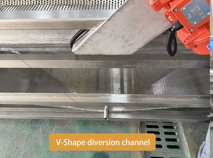 Leafy Vegetable Processing Line for Fresh-Cut Salad Business (UAE Case Study)