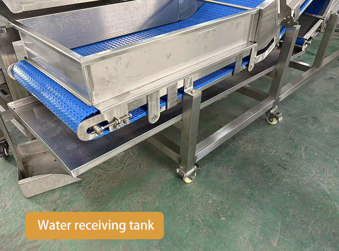 Leafy Vegetable Processing Line for Fresh-Cut Salad Business (UAE Case Study)