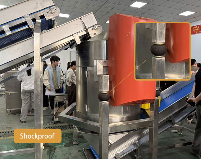 Leafy Vegetable Processing Line for Fresh-Cut Salad Business (UAE Case Study)