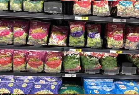 Leafy Vegetable Processing Line for Fresh-Cut Salad Business (UAE Case Study)