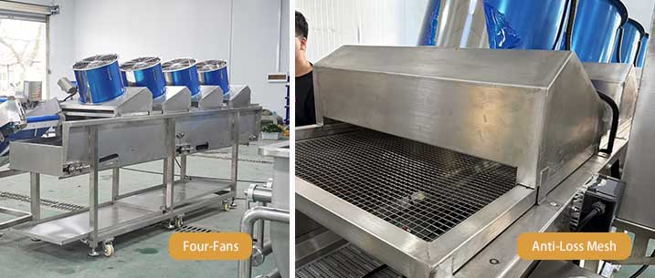 Leafy Vegetable Processing Line for Fresh-Cut Salad Business (UAE Case Study)