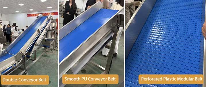 Leafy Vegetable Processing Line for Fresh-Cut Salad Business (UAE Case Study)