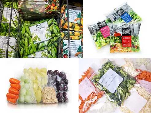 Leafy Vegetable Processing Line for Fresh-Cut Salad Business (UAE Case Study)