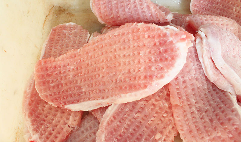 FC-R580 Electric Steak Meat Tenderizer Machine