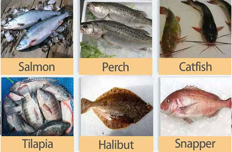 Heavy-duty Electric Fish Scaler Machine