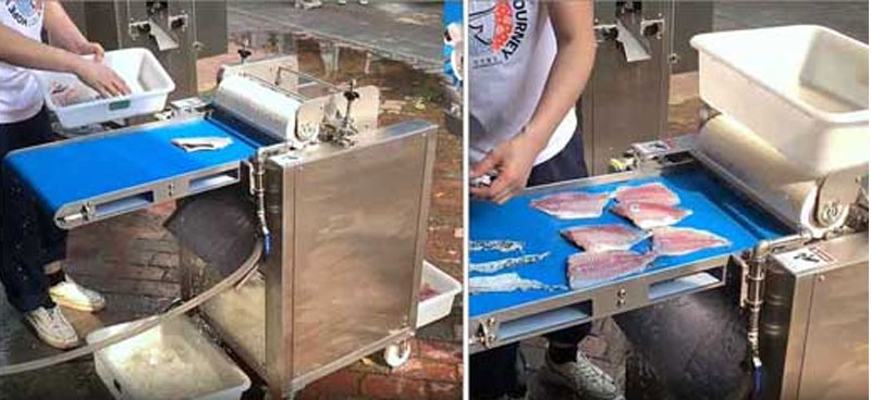 FQS-400 Fish peeler machine tilapia skin removing machine