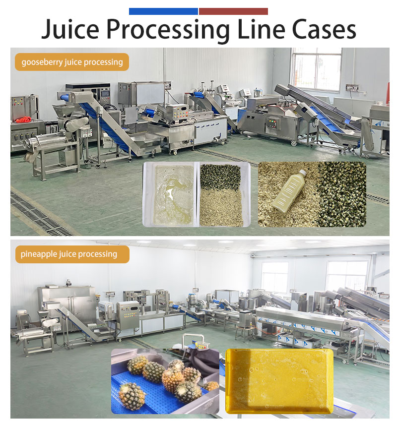 05-5T/H Vegetable Fruit Juice Extractor Machine