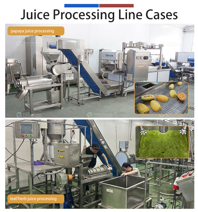 05-5T/H Vegetable Fruit Juice Extractor Machine