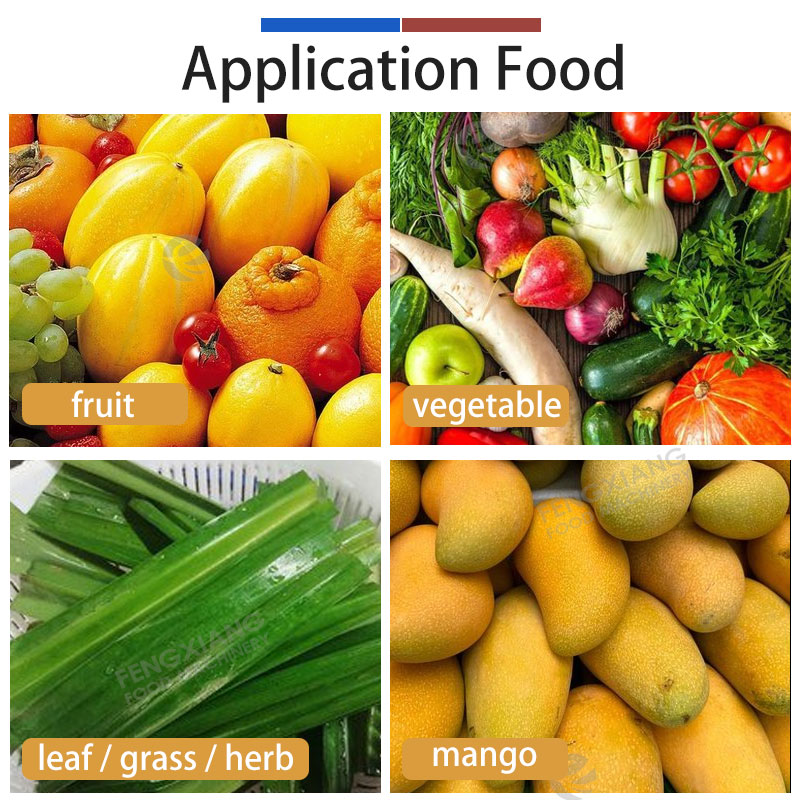 05-5T/H Vegetable Fruit Juice Extractor Machine