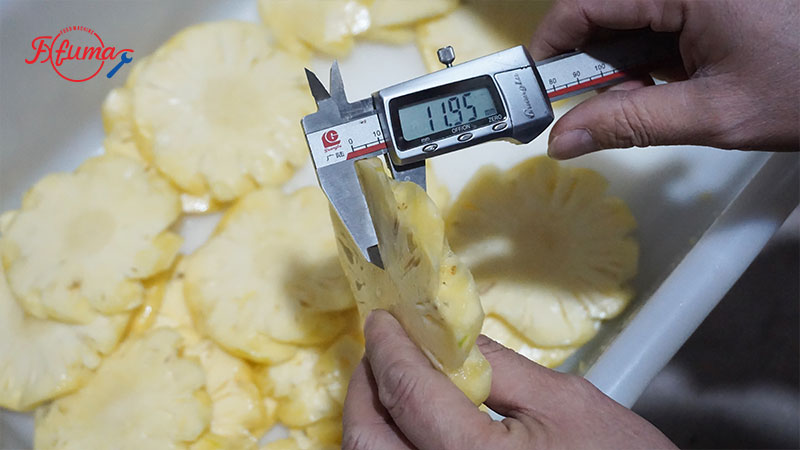 Commercial Two Feeding Port Pineapple Slicer Machine