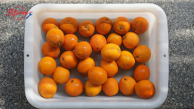 Orange Mango Fruit Pluping Machine in food industry