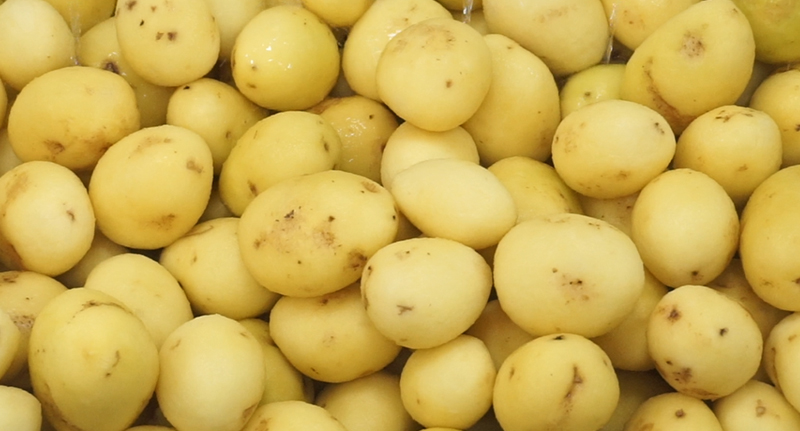 Spiral Roller Brush for Washing and Polishing Root Vegetables