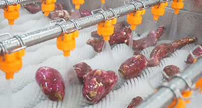 1000-5000KG/H Sweet Potato Production Line