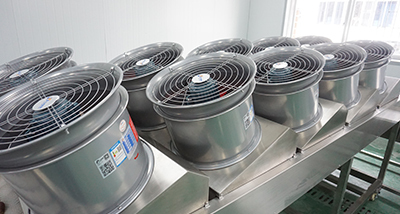 1000-5000KG/H Sweet Potato Production Line