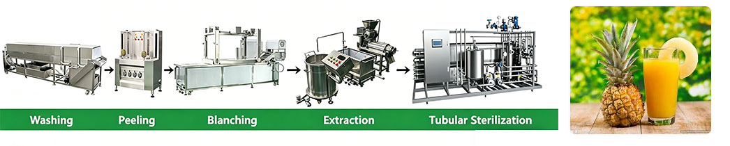 Complete Guide to Juice Processing Lines: How to Choose the Right Small