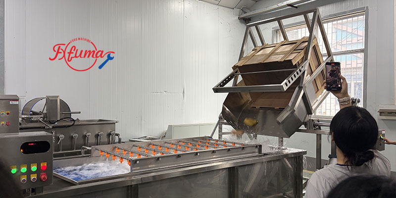 Pineapple Washing and Chunks Processing Machine 1-1.5t/h