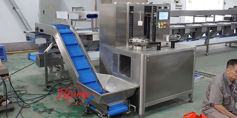 Pineapple Washing and Chunks Processing Machine 1-1.5t/h