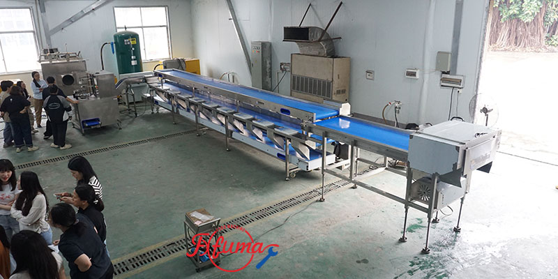 Pineapple Washing and Chunks Processing Machine 1-1.5t/h