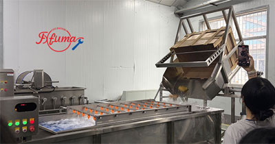 Pineapple Washing and Chunks Processing Machine 1-1.5t/h