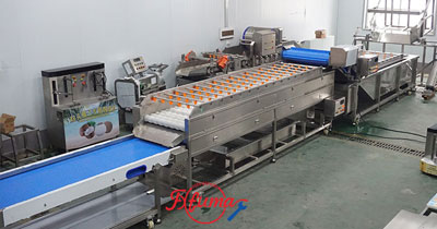 Pineapple Washing and Chunks Processing Machine 1-1.5t/h