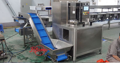 Pineapple Washing and Chunks Processing Machine 1-1.5t/h