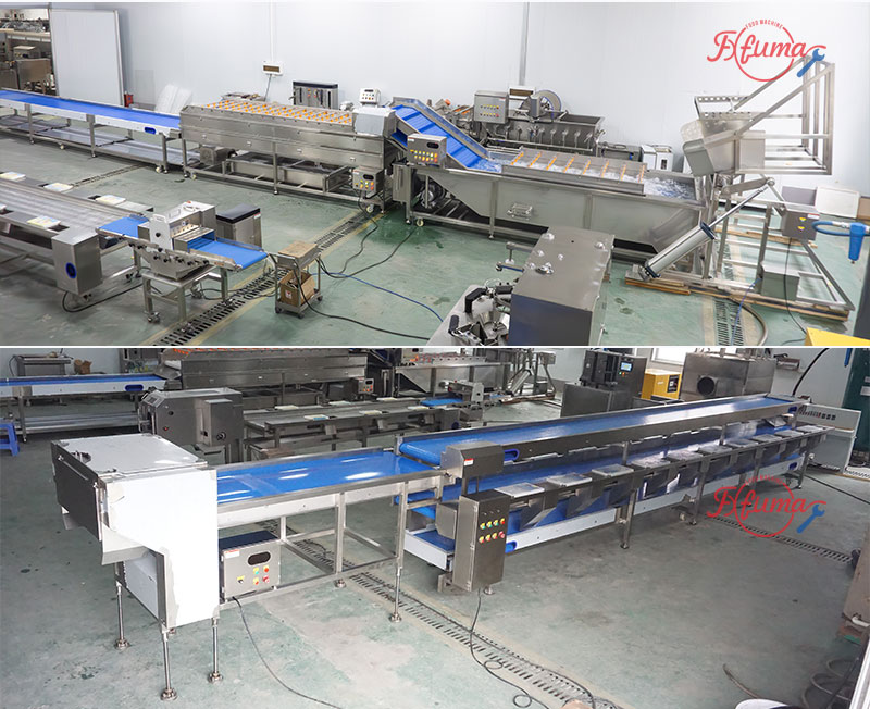 Pineapple Washing and Chunks Processing Machine 1-1.5t/h