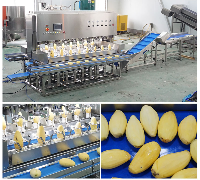 Mango Peeling, Pitting, Slicing Machine for Mangoes Process Plant