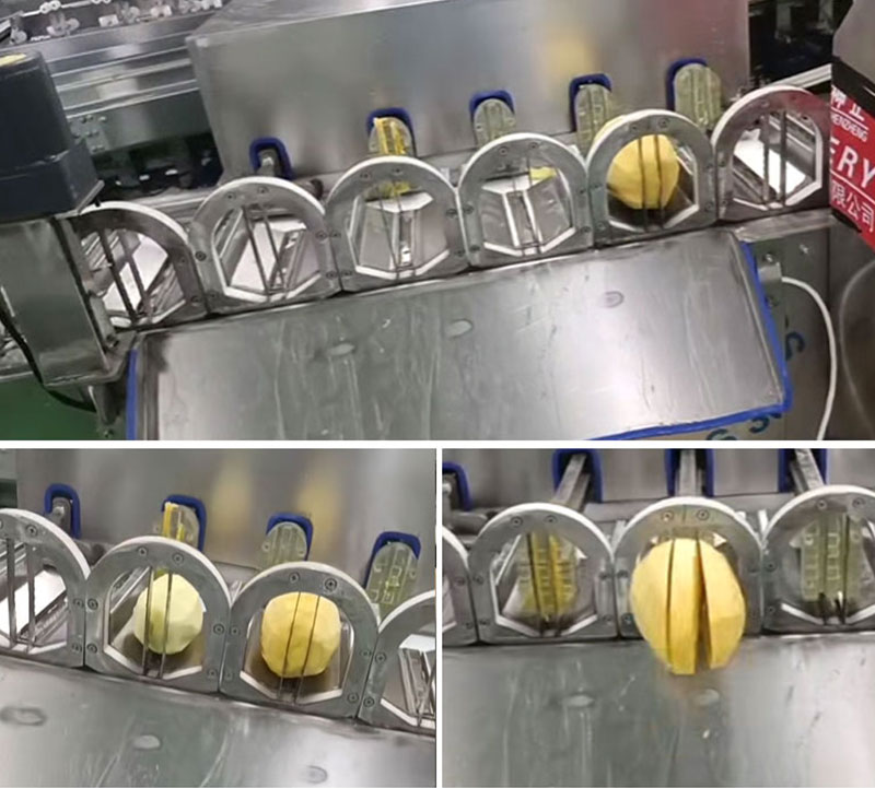 Mango Peeling, Pitting, Slicing Machine for Mangoes Process Plant