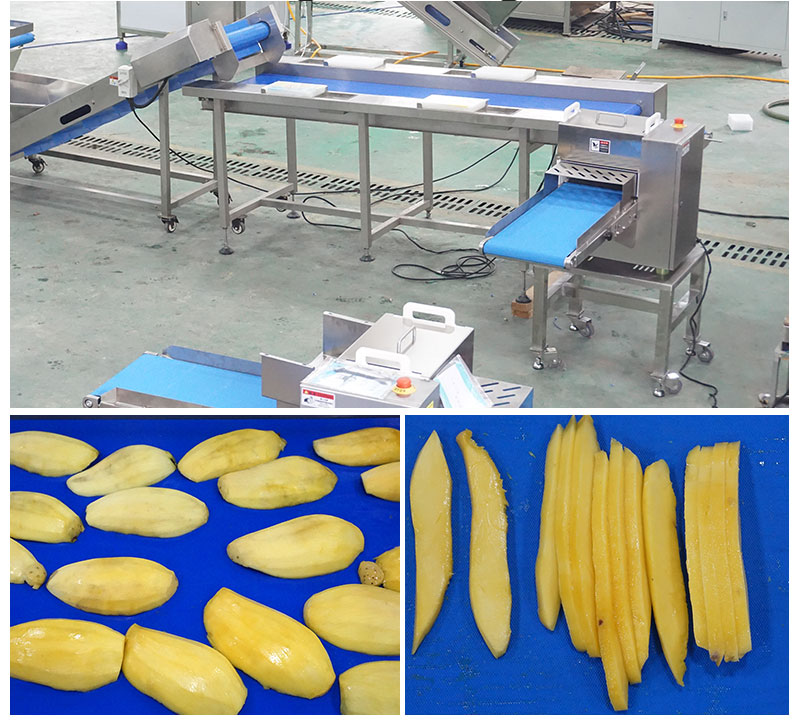 Mango Peeling, Pitting, Slicing Machine for Mangoes Process Plant
