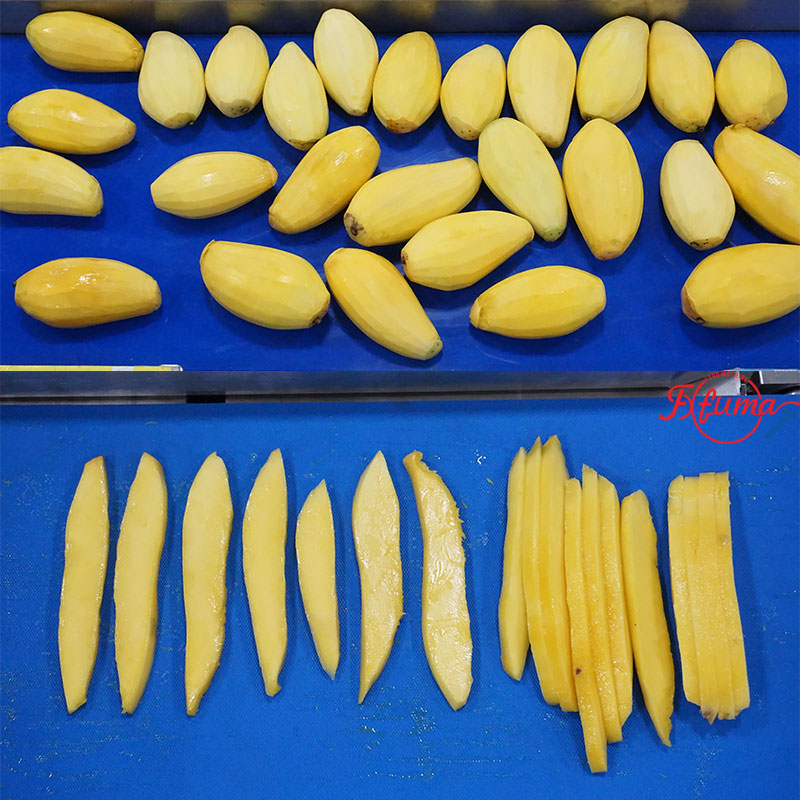 Mango Peeling, Pitting, Slicing Machine for Mangoes Process Plant