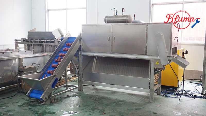 Industrial Chain-Type Onion Air Peeling Machine
