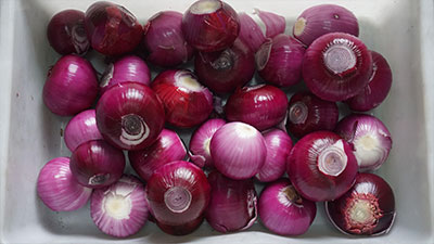 Industrial Chain-Type Onion Air Peeling Machine
