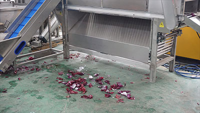 Industrial Chain-Type Onion Air Peeling Machine