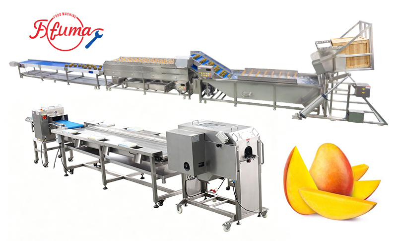 Mango Washing, Coring, Peeling, Slice Cutting Machine Customized Mango Process Line